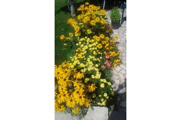 Mazedonien Privát Peshtani, Exterieur